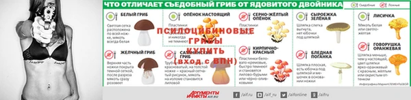 винт Арсеньев