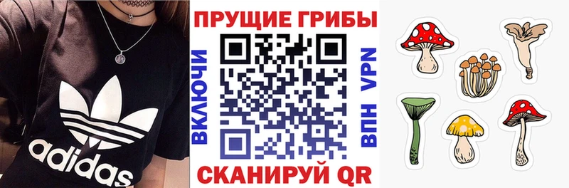 где продают   MEGA   Галлюциногенные грибы Psilocybe  Медынь 